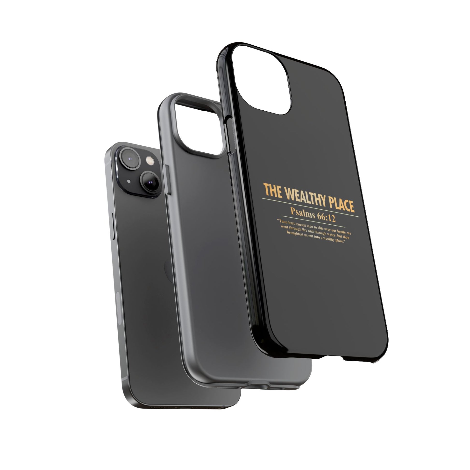 Phone Case — "The Wealthy Place" Minimalist Protective Tough Case
