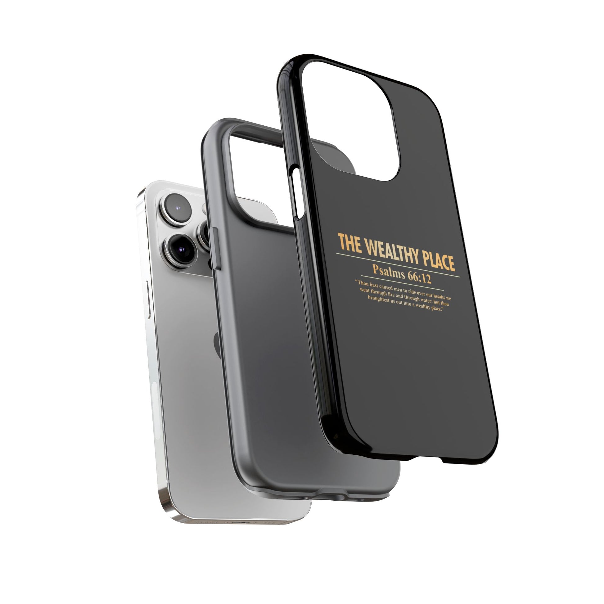Phone Case — "The Wealthy Place" Minimalist Protective Tough Case