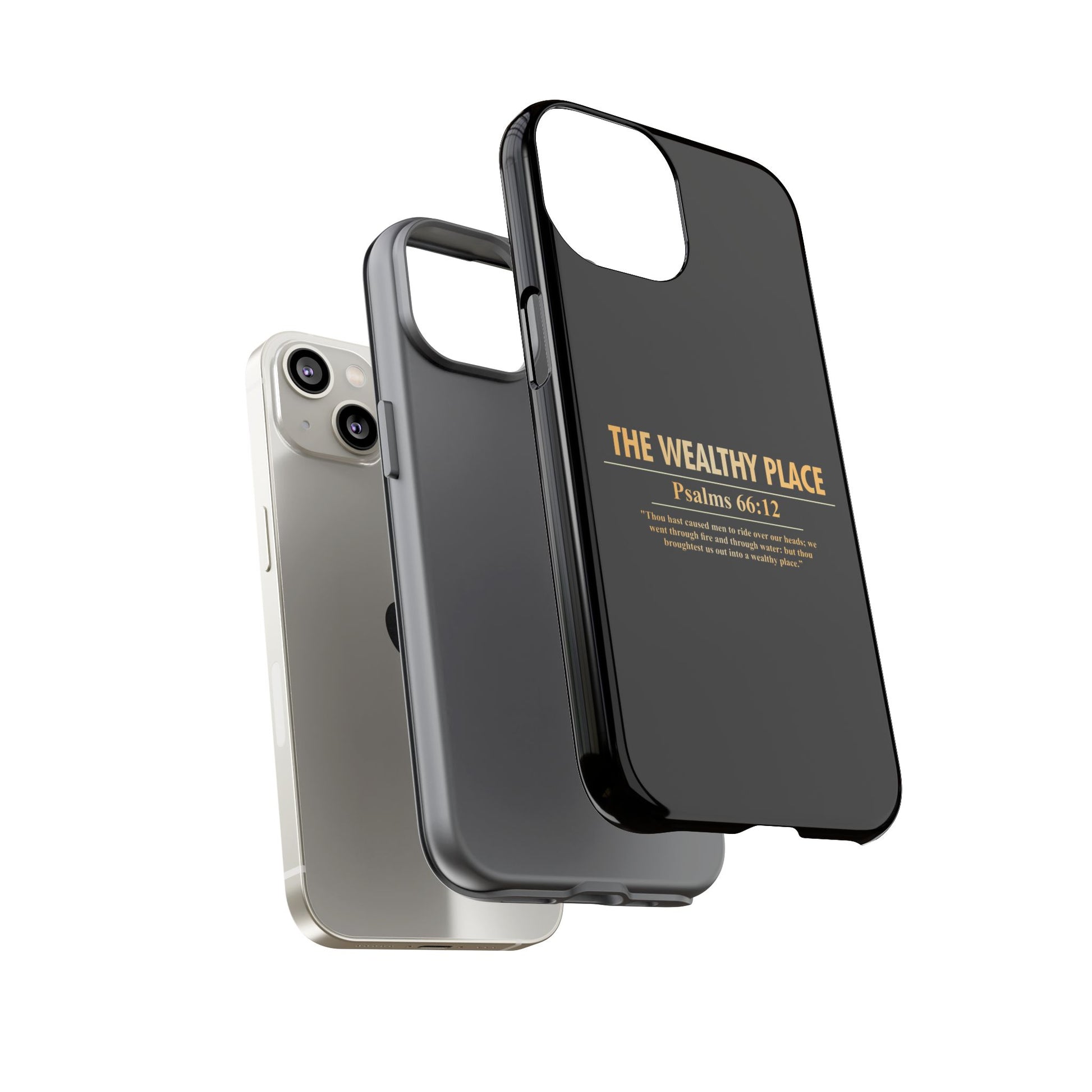 Phone Case — "The Wealthy Place" Minimalist Protective Tough Case